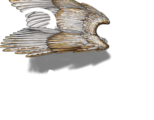 white gold snarky.png