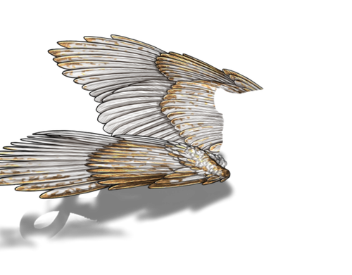 white gold default.png