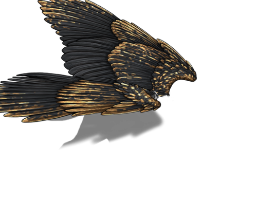 black gold f adol.png