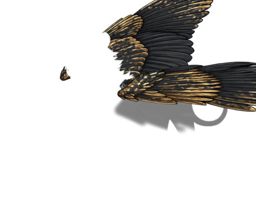 black gold m adol.png