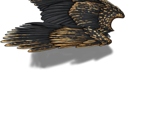 black gold neutral.png