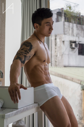 tumblr 82fa411ebbc6635a9fe5380d40d56902 15e54586 2048.png