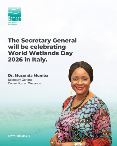 G qF0DEXcAALWLW?format=jpg.jpg