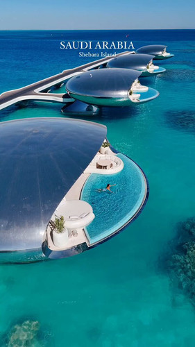 xLKaJkHX Cj TJVN.jpg