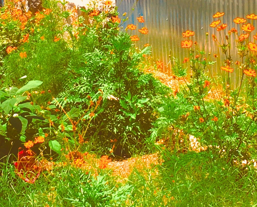 image 2026 01 28 055425163.png