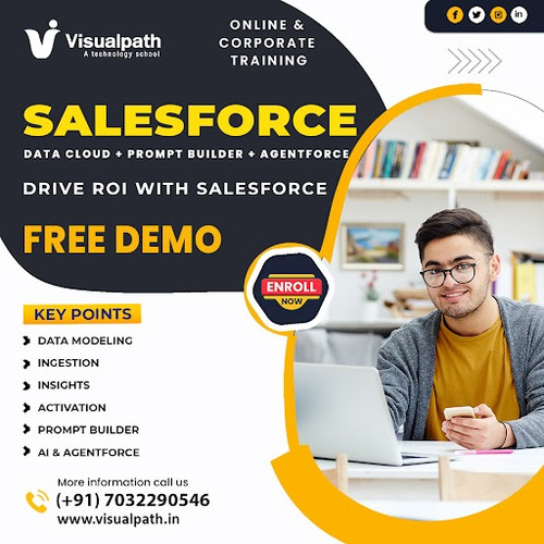 Salesforce Data Cloud Training Bangalore  Cloud Training Ameerpet.jpg