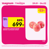 Magnum 1080x1080 1 tov (35)