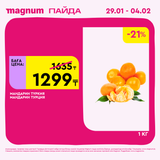 Magnum 1080x1080 1 tov (34)