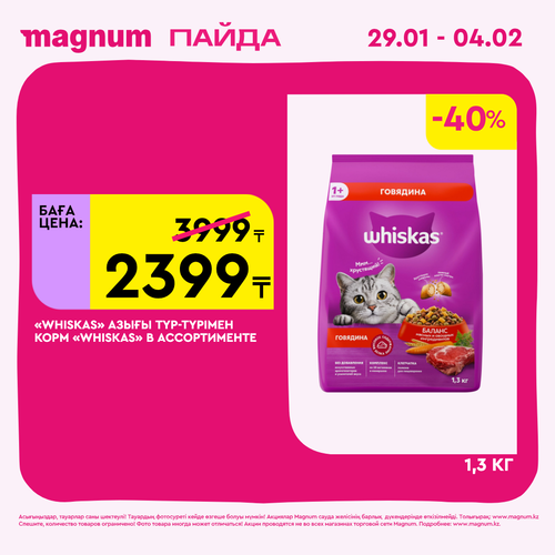 Magnum 1080x1080 1 tov (22).png