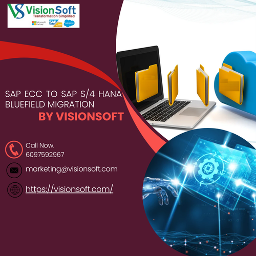 SAP ECC to SAP S4 HANA Bluefield Migration by VisionSoft.png