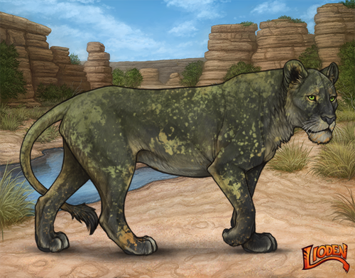 lioden wardrobe 2026 01 27T132908.399.png