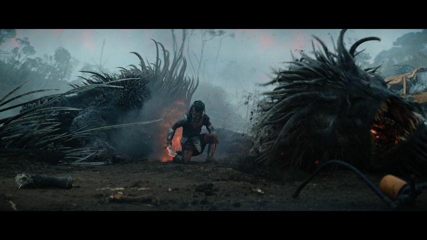 vlcsnap 2026 01 28 17h25m41s225