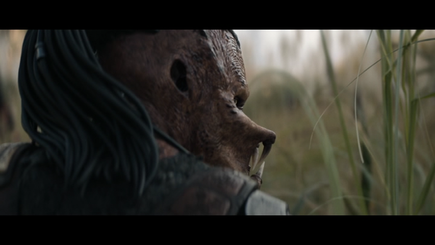 vlcsnap 2026 01 28 17h25m29s882