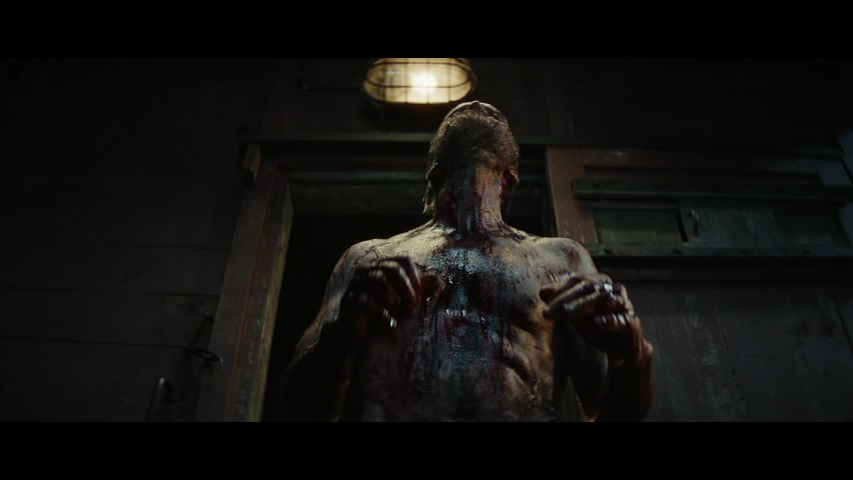 vlcsnap 2026 01 28 17h13m17s723