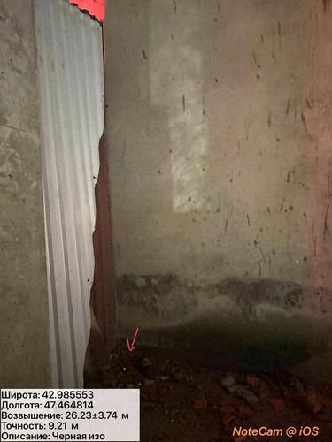 photo 4 2026 01 28 01 22 16.jpg