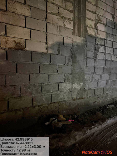 photo 8 2026 01 28 01 22 16.jpg