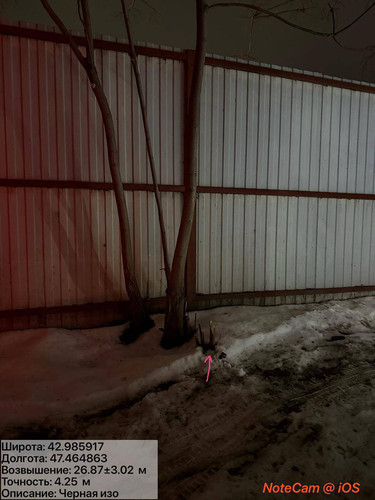 photo 17 2026 01 28 01 22 16.jpg