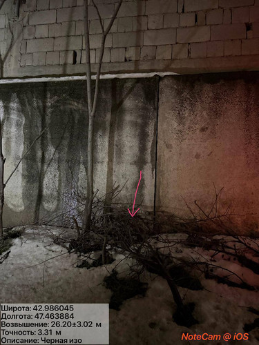 photo 11 2026 01 28 01 22 16.jpg