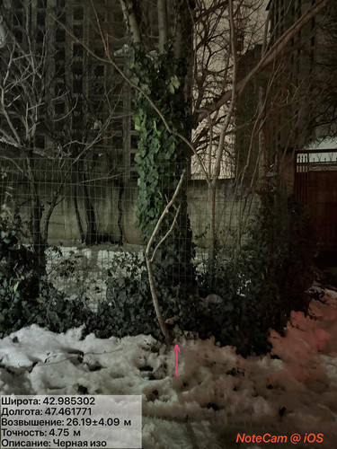 photo 12 2026 01 28 01 22 16.jpg