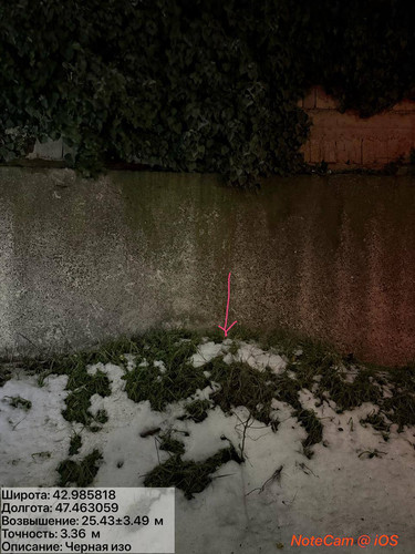 photo 13 2026 01 28 01 22 16.jpg