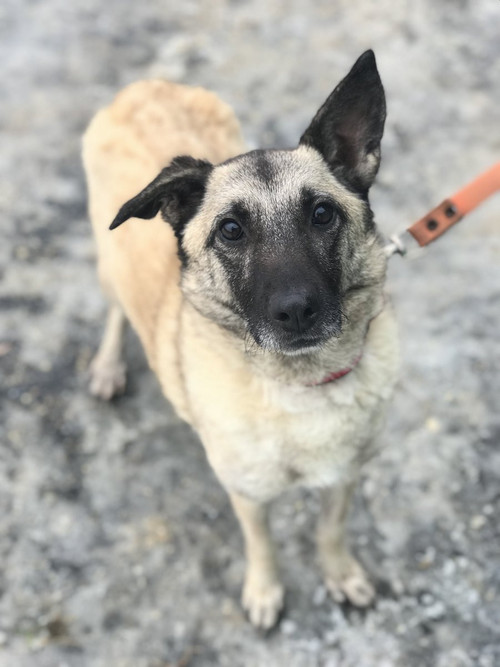 G muvfEWsAIW7pB?format=jpg.jpg