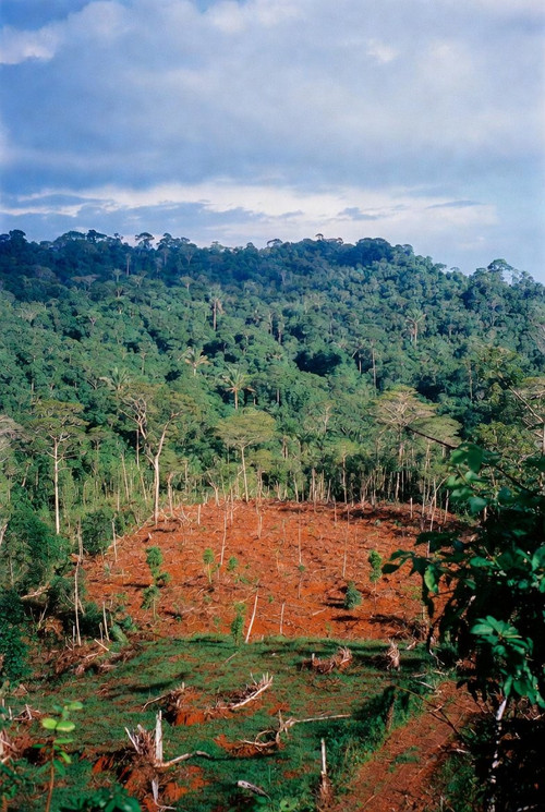 G nS myXgAE wnP?format=jpg.jpg