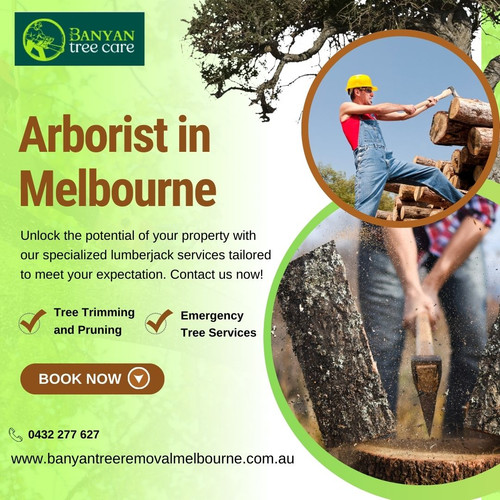 Arborist in Melbourne | Tree Trimming & Emergency Tree Services.jpg