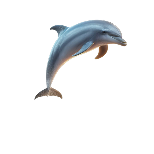 Delphin (6).png