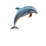 Delphin (6)