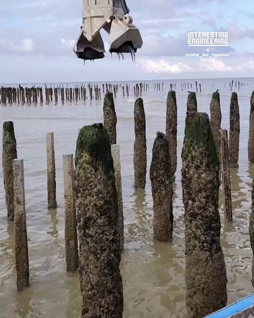 eBbPJTViG3xBT5S .jpg