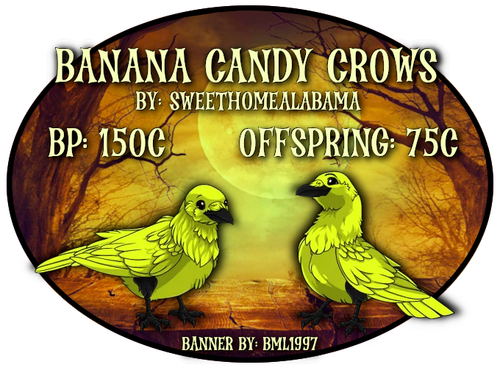 banana candy crows