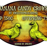 banana candy crows