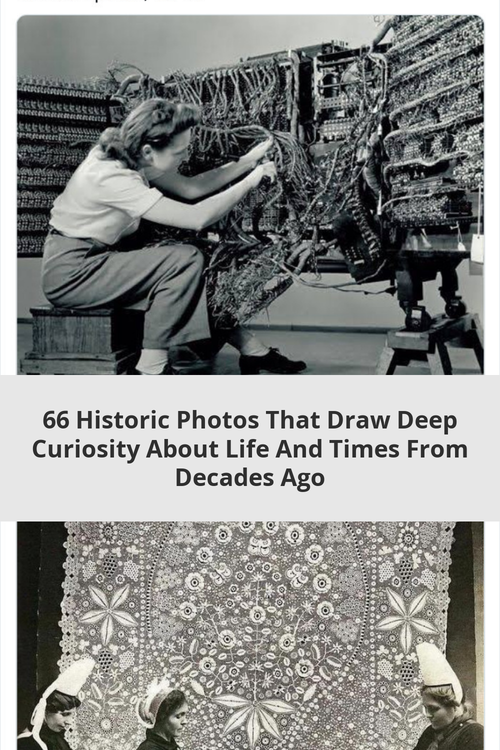 d3eef267 63f3 4352 9d80 82411f8e1758.png