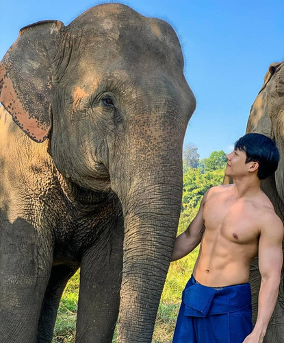 hothunk thailand 131515963 384167369527974 8329805204195474571 n.jpg