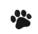 IMG 20260128 075857.png