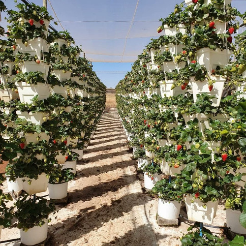 G kwA 2bUAE2reL?format=jpg.jpg