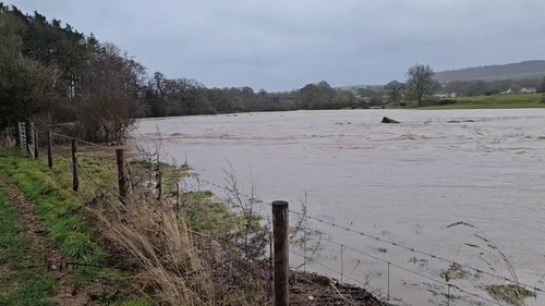 qX5D2q3ddkD2Zb9 .jpg