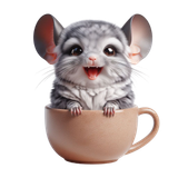 Chinchilla Kaffee (2)