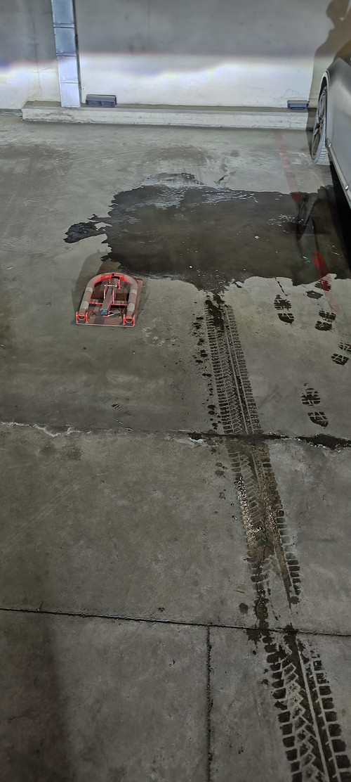 IMG 20260127 142251949.jpg