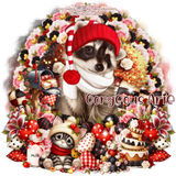 Lin Cazenave Heart Gorgeous Arie