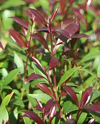 Screenshot 2026 01 28 215630.jpg