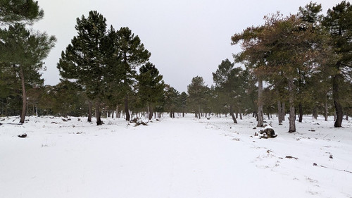 G nsAwzWgAAZUxC?format=jpg.jpg