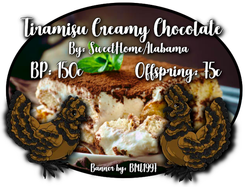 tiramisu creamy chocolate