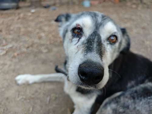 G k w30a0AAPyG8?format=jpg.jpg