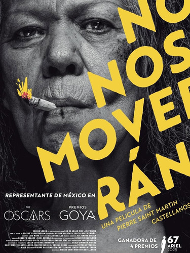 MV5BNThjMjA2MmMtNjUyNi00ZmIwLWIwOWUtOWZhNDM1N2EzMTBiXkEyXkFqcGc@. V1 FMjpg UX1000 .jpg