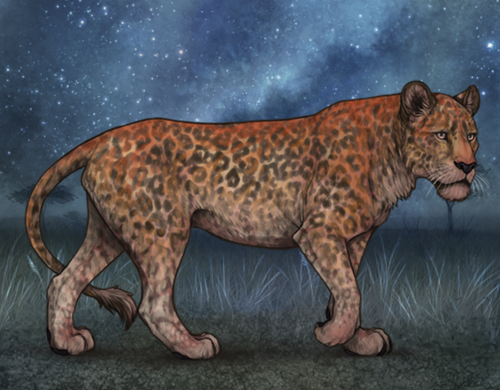 Screenshot 2026 01 27 at 11.42.52 AM.png