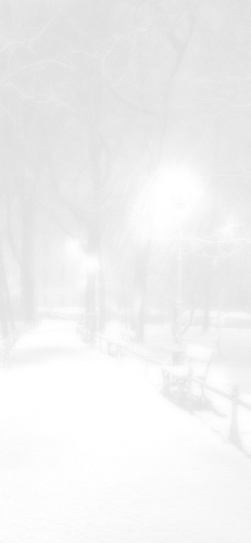 2025 12 15 下午53046.png