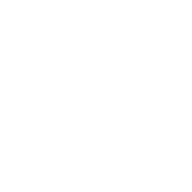 Size=Isotipo, Color=White, Radius=N 1.png