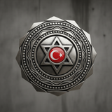 Türkiye Bayrağı Ayyıldız Resimleri V010120260453 N 197