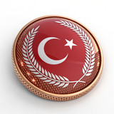Türkiye Bayrağı Ayyıldız Resimleri V010120260453 N 169